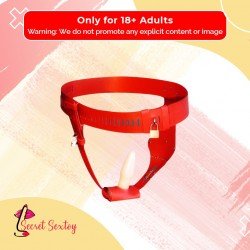 Chastity Lock Device for Women BDSM-002